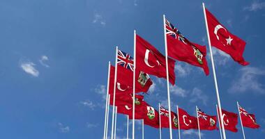 Bermuda and Turkey Flags Waving Together in the Sky, Seamless Loop in Wind, Space on Left Side for Design or Information, 3D Rendering video