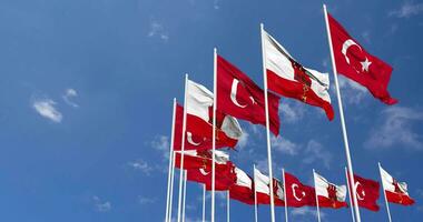 Gibraltar and Turkey Flags Waving Together in the Sky, Seamless Loop in Wind, Space on Left Side for Design or Information, 3D Rendering video