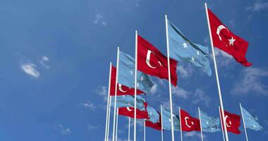 Federated States of Micronesia and Turkey Flags Waving Together in the Sky, Seamless Loop in Wind, Space on Left Side for Design or Information, 3D Rendering video