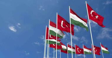 Hungary and Turkey Flags Waving Together in the Sky, Seamless Loop in Wind, Space on Left Side for Design or Information, 3D Rendering video