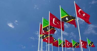 Saint Kitts and Nevis and Turkey Flags Waving Together in the Sky, Seamless Loop in Wind, Space on Left Side for Design or Information, 3D Rendering video