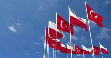 Poland and Turkey Flags Waving Together in the Sky, Seamless Loop in Wind, Space on Left Side for Design or Information, 3D Rendering video