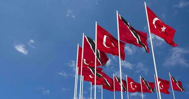 Trinidad and Tobago and Turkey Flags Waving Together in the Sky, Seamless Loop in Wind, Space on Left Side for Design or Information, 3D Rendering video