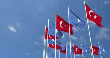 Somalia and Turkey Flags Waving Together in the Sky, Seamless Loop in Wind, Space on Left Side for Design or Information, 3D Rendering video