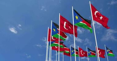 South Sudan and Turkey Flags Waving Together in the Sky, Seamless Loop in Wind, Space on Left Side for Design or Information, 3D Rendering video