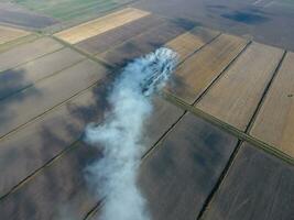 Burning straw in the fields after harvesting wheat crop photo