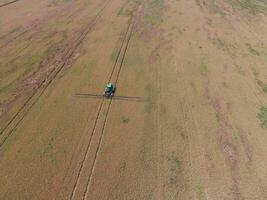 Adding herbicide tractor on the field of ripe wheat. View from above. photo
