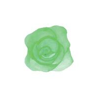 Vector hand drawn green rose isolated on white