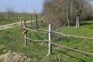 Wooden fence of two crossbars to protect trees photo