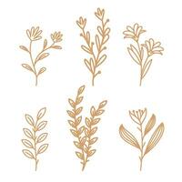 Vector hand drawn golden leaves illustration