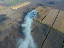 Burning straw in the fields after harvesting wheat crop photo