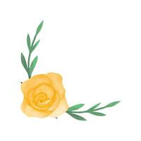 Vector hand drawn yellow rose isolated on white