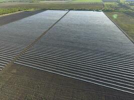 Rows of filmy greenhouses in the field. Growing vegetables in a closed ground. Greenhouses in the field photo