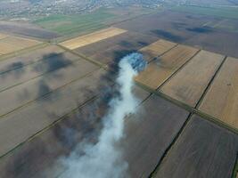 ardiente Paja en el campos después cosecha trigo cosecha foto