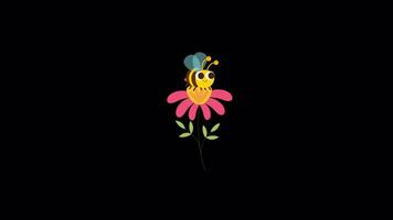 miel abeja se sienta en flor en alfa canal video