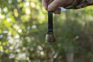 A bear bell with hand at the green forest in Autumn photo