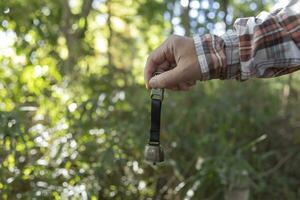 A bear bell with hand at the green forest in Autumn photo