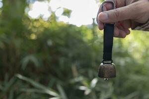 A bear bell with hand at the green forest in Autumn photo