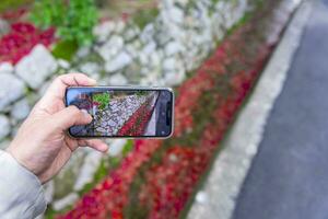 un teléfono inteligente disparo apilado arriba rojo hojas en el estrecho canal en otoño foto