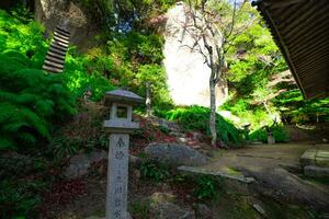 Red leaves at Kasagiyama momiji park in Kyoto in autumn wide shot photo