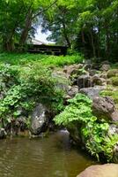 A Japanese garden pond at Tonogayato garden in summer sunny day photo