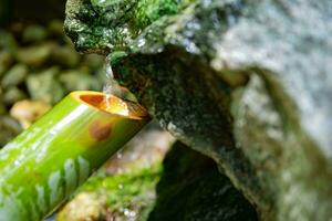 A Japanese Bamboo Water Fountain Shishi-Odoshi in Zen Garden close up photo