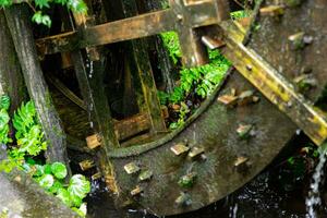 A historic wooden wheel on the water surface in Tokyo close up photo