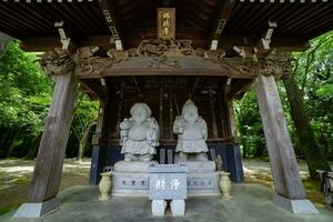 Japanese guardian statues at the traditional street in Tokyo wide shot photo
