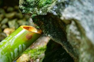 A Japanese Bamboo Water Fountain Shishi-Odoshi in Zen Garden close up photo