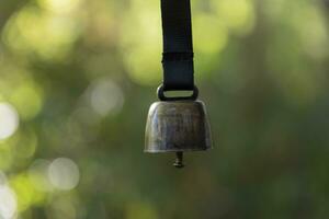 A bear bell with hand at the green forest in Autumn close up photo