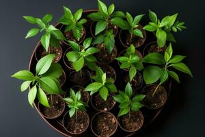 AI generated Vibrant green leaves marking important dates on a calendar, go green images photo