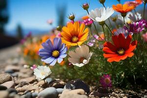 ai generado un Estallar de vistoso flores silvestres en el Desierto paisaje, tierra simpático imágenes foto
