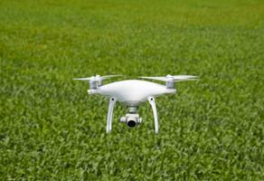 Flying white quadrocopters over a field of wheat photo