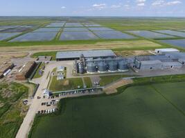 Plant for the drying and storage of grain. Top view. Grain terminal. photo