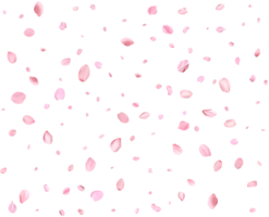 Falling realistic sakura petals. png