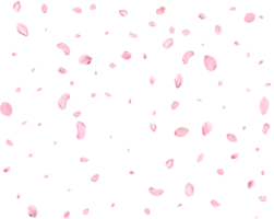 Falling realistic sakura petals. png