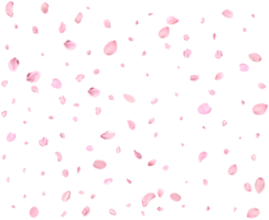 Falling realistic sakura petals. png