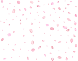 Japanese Spring petals Sakura. png