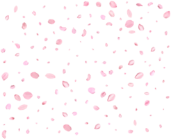 Japanese Spring petals Sakura. png