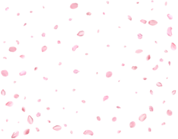 Japanese Spring petals Sakura. png