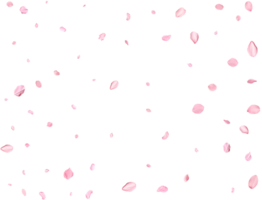 ljus rosa sakura kronblad. png