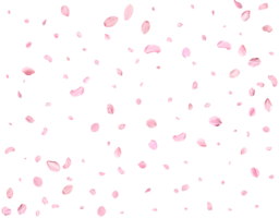 Japanese Spring petals Sakura. png