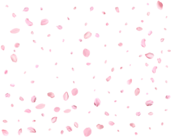 Japanese Spring petals Sakura. png