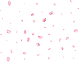 Pink Spring Japanese sakura petals. png