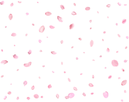 Light pink sakura petals. png