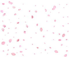 ljus rosa sakura kronblad. png