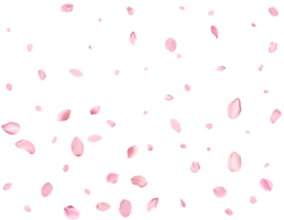 Pink Spring Japanese sakura petals. png