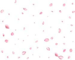 Pink Spring realistic sakura petals. png