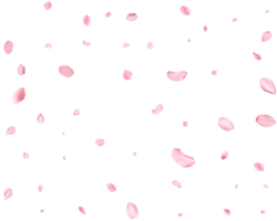 Pink Spring realistic sakura petals. png