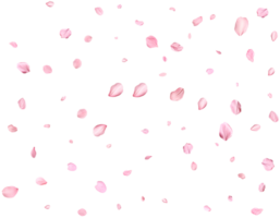 Pink Spring Japanese sakura petals. png